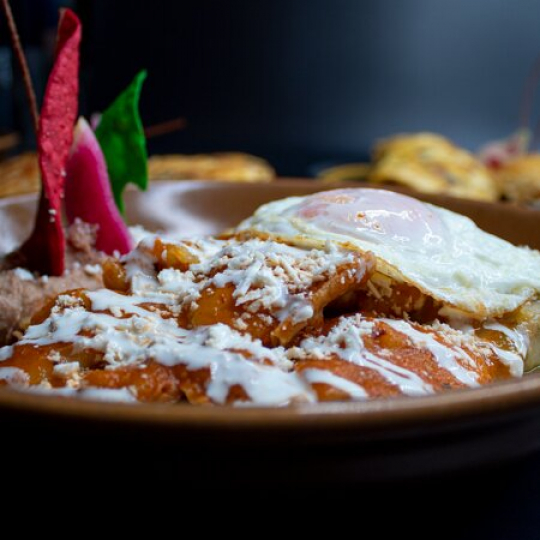 Fredys Tucan, Puerto Vallarta