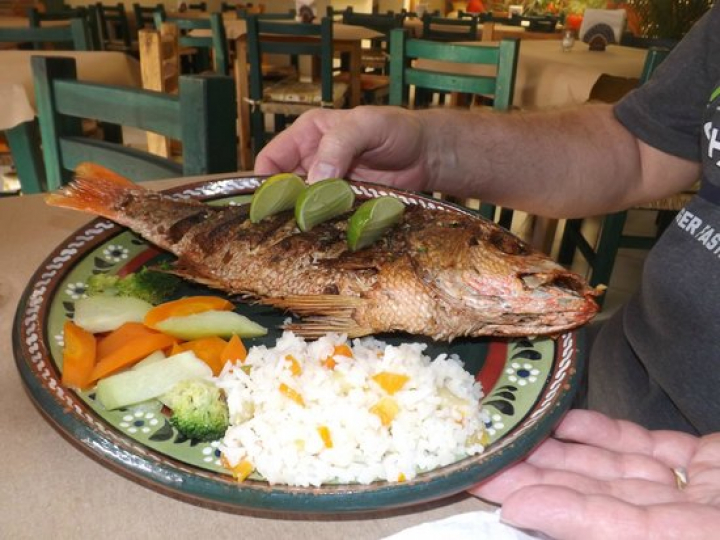 Melissa’s, Puerto Vallarta